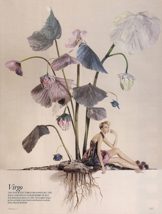 Signos del zodiaco. Virgo