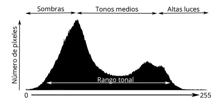 Aprende a interpretar el histograma en Madrid. Histograma en fotografía profesional.