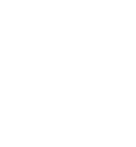 X-Presion