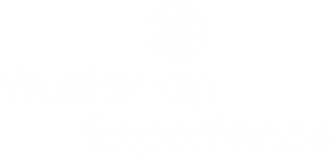 Logotipo de Workshop Experience Escuela de fotografía y retoque